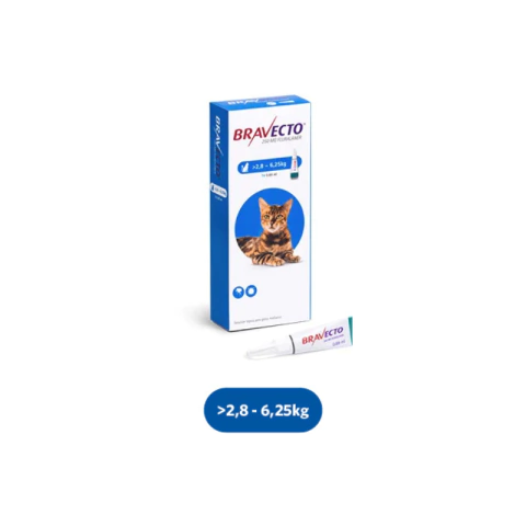 Bravecto® Gato 2,8 a 6,25 kg - Pipeta - comprar online
