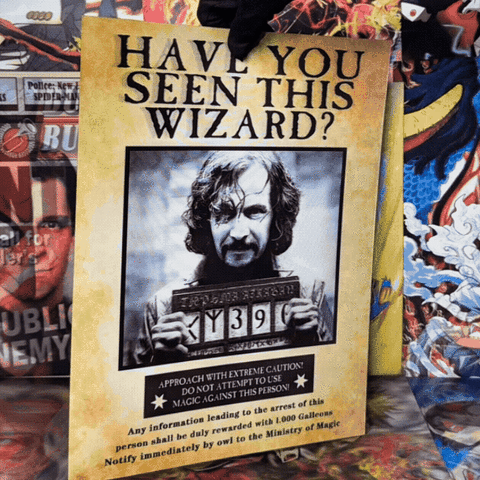 HARRY POTTER 012 POSTER 3D