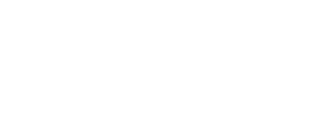 Raizer Shop