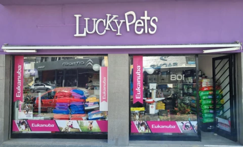 Imagen del carrusel 1