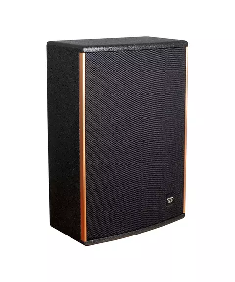 PH Series Professional Audio Stage Performance Speaker