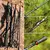 Vara de Pesca em Fibra de Carbono Leve e Resistente