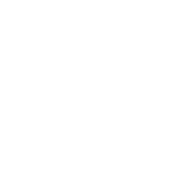 DIAMONDS PROFESSIONAL