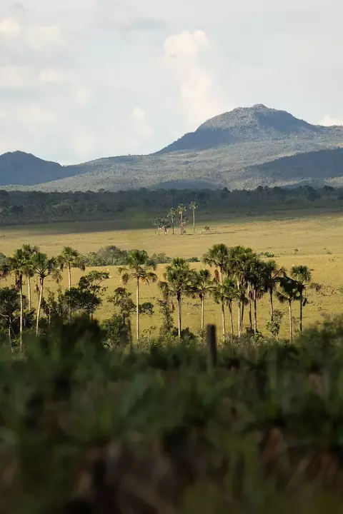 Vale de Maytrea - comprar online