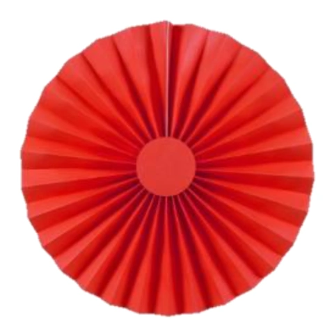 Rosetón de Colores en internet