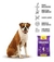 Ração Vittamax Classic Pró Para Cão Adulto 15kg - comprar online
