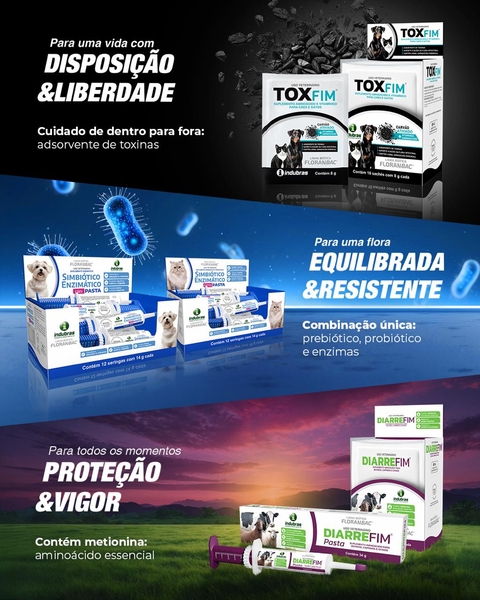 SIM ENZIM PASTA GATOS DISP C/ 12 SERING