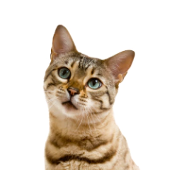 Ignacio, papá de Cooper