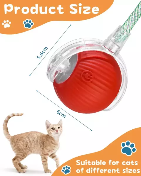 Brinquedo interativo para pet