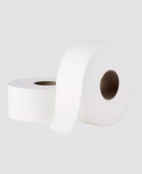 PAPEL HIGIENICO FOLHA SIMPLES BRANCO LUXO ROLAO 300 MTS X 10 CM C/ 08 SUELL