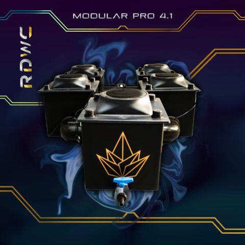 RDWC PRO ESTÁNDAR 4.1