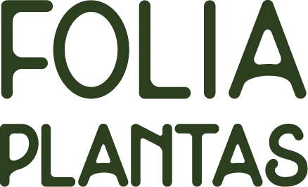 Folia Plantas