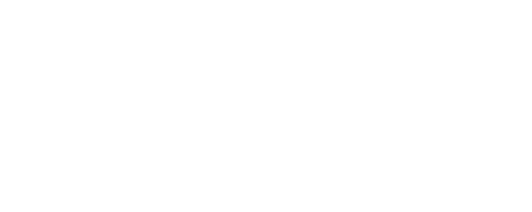 Li Lingerie