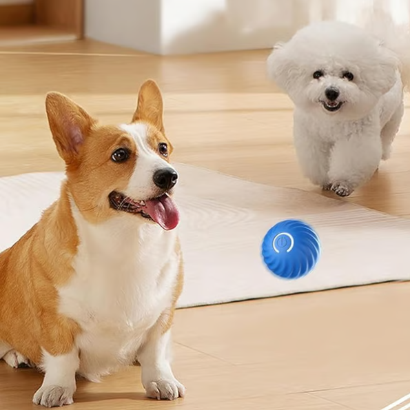 Beneficio ColiPaw 3