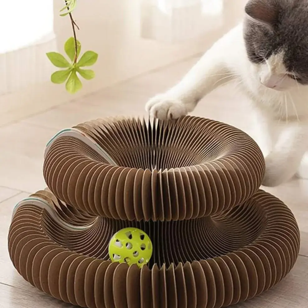 Beneficio ColiPaw 1