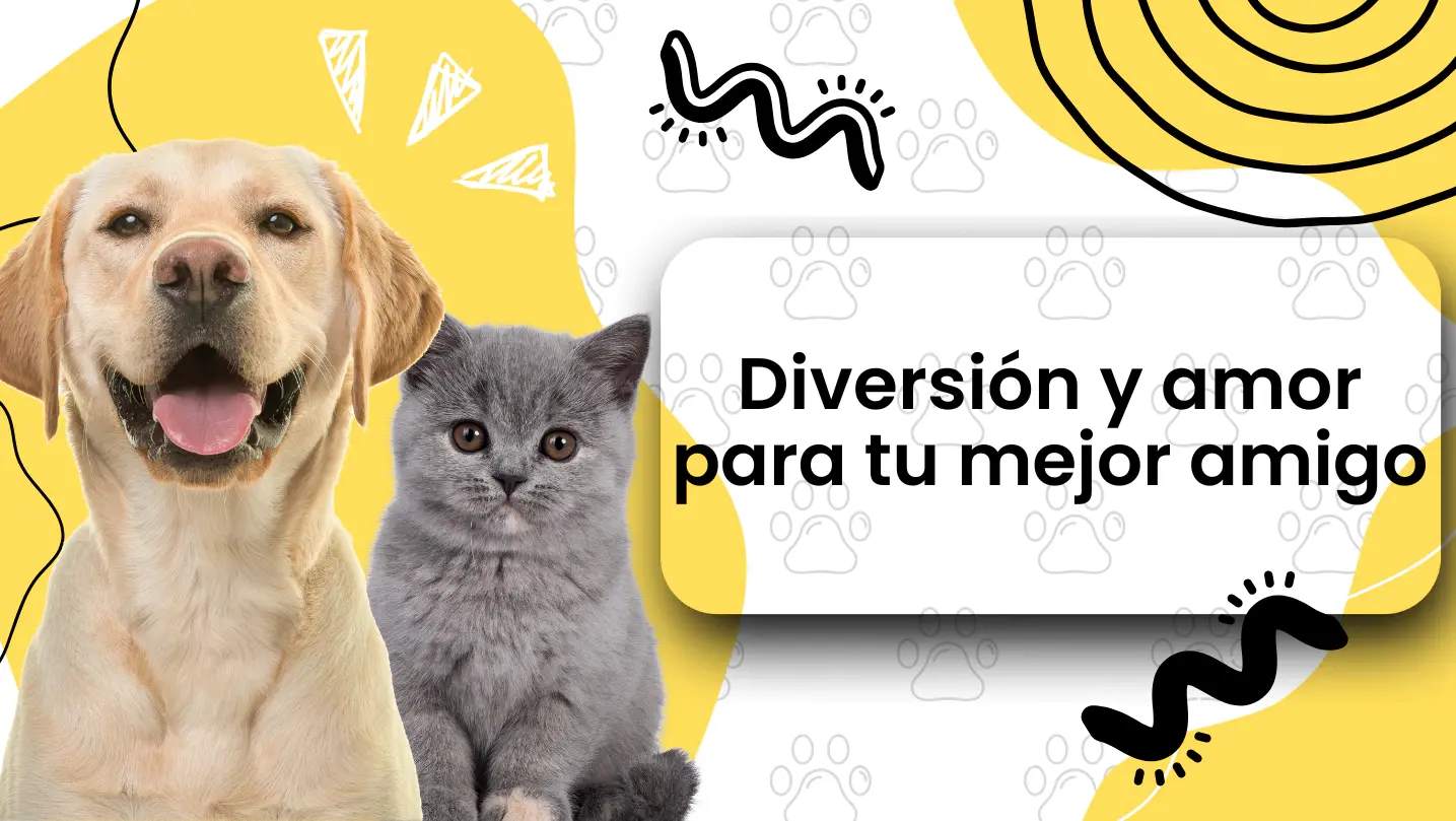 Diversión y amor para tu mejor amigo