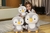 O mais fofo Pinguim de Pelúcia - NOVO na internet
