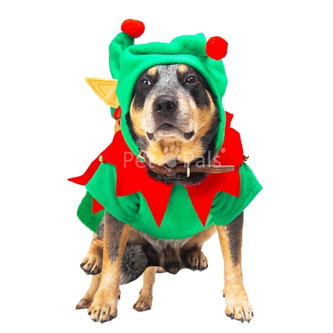 Disfraz de duende para Perro