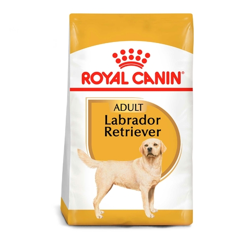 Royal Canin Labrador Retriever Adulto