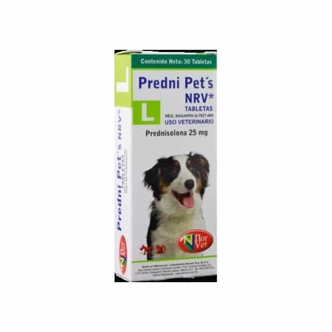 Predni Pets