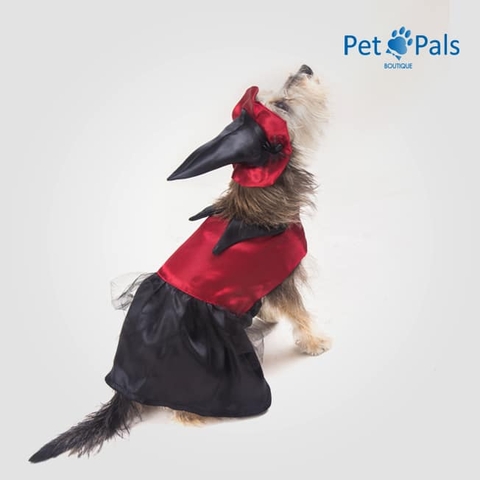 Disfraz de Bruja para Perro