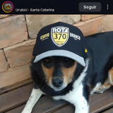 Depoimento de MotoGrife