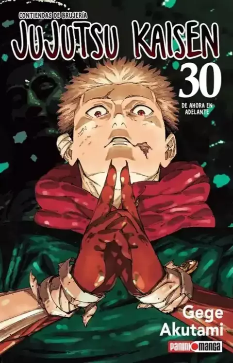 JUJUTSU KAISEN 30 Panini