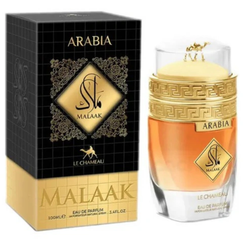 Arabia Malaak Le - Chameau