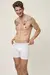 3200/3900 G3 Boxer en internet