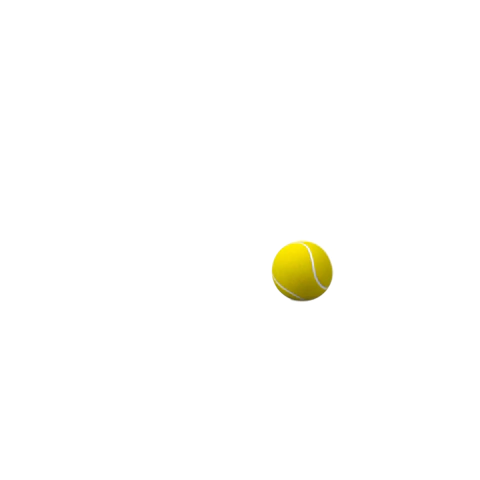 mdstennis