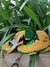 Air Jordan 7 'Oregon Ducks' - loja online