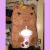 piñata de Capibara