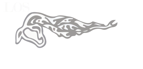 Los Texanos Evo