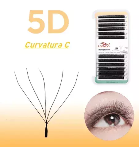 5D Fadvan Curvatura C volume egipcio