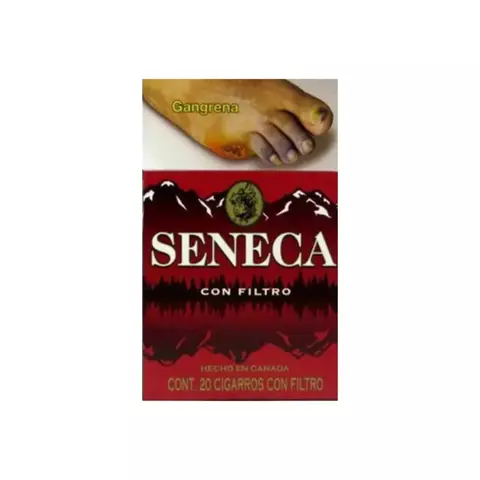 SENECA 10PZ - comprar en línea