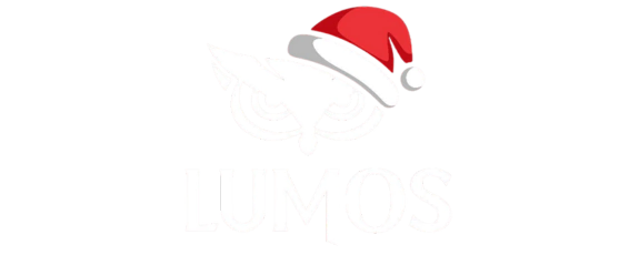 Lumos Wear | Camisetas Oversized