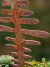 Estaca decorativa para jardín de hierro oxidado con diseño original para tierra y macetas.