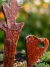 Estaca decorativa para jardín de hierro oxidado con diseño original para tierra y macetas.
