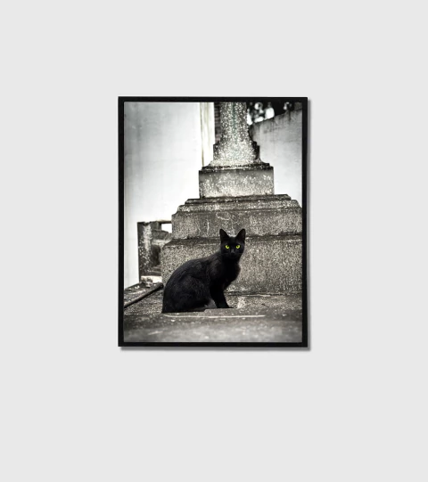 Black cat - comprar online