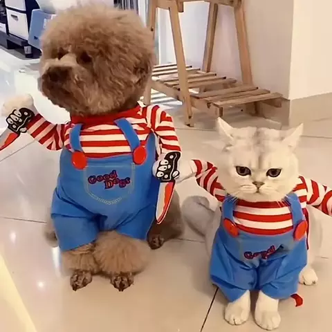 roupas de cão/ gato cosplay Chucky - comprar online