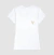 Camiseta Shark Golden tooth - Swell LifeStyle na internet