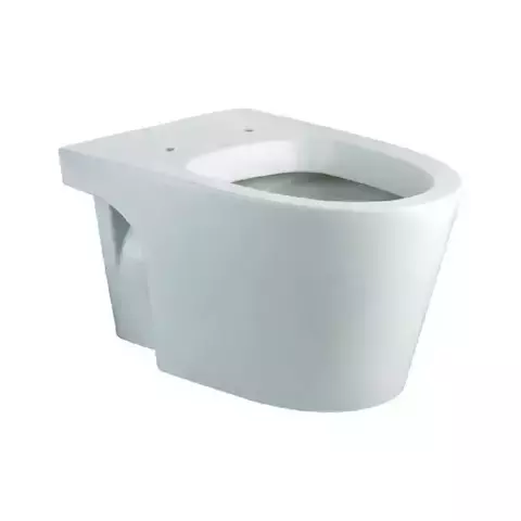 Sanitario Inodoro Ferrum Marina De Colgar Blanco Ihpj-b - comprar online