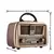 Radio Parlante Vintage BP-RV156BT - comprar en línea