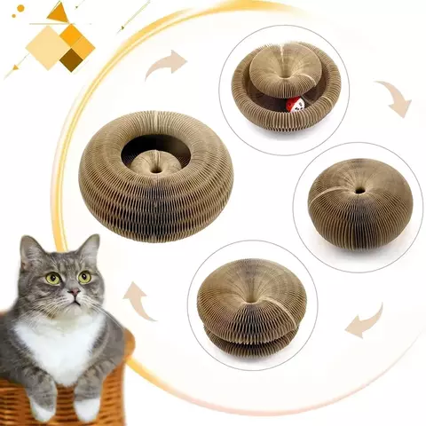 Arranhador Mágico para Gatos, Órgão de Brinquedo para Gatos, Bola para Gatos,