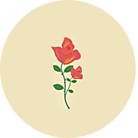 Rosas y Rositas