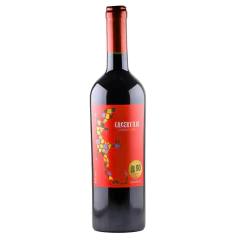 Braccob Lacertilia Tannat - comprar online