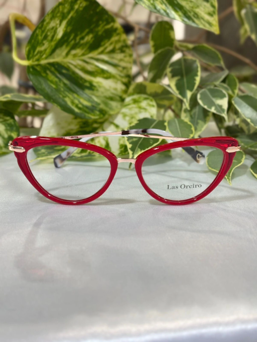 Armazón LAS OREIRO 1010