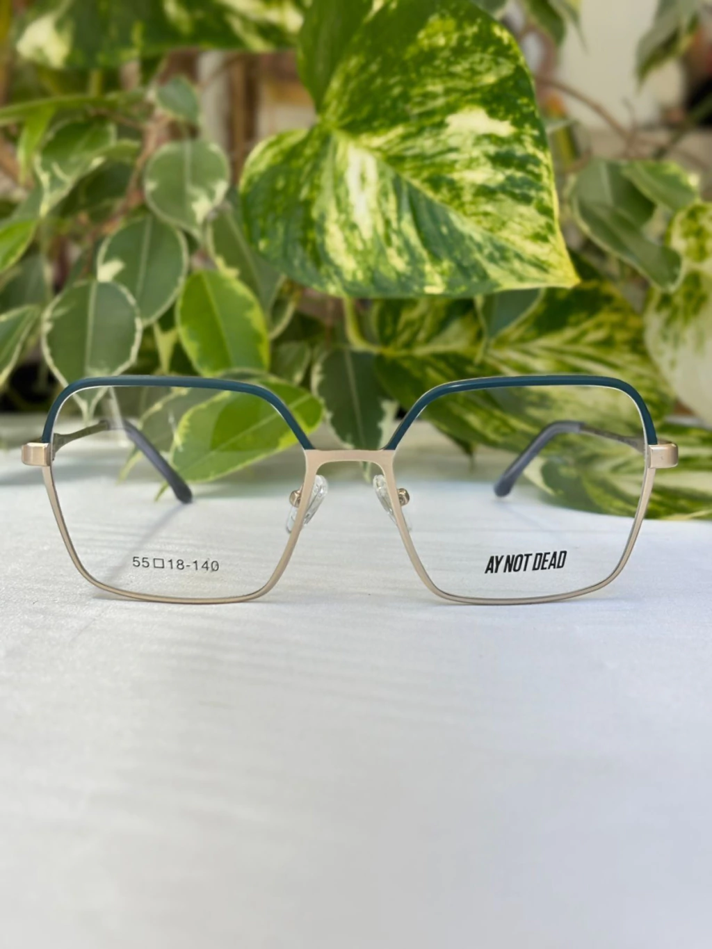 Armazón AY NOT DEAD 693 - HAYDEN