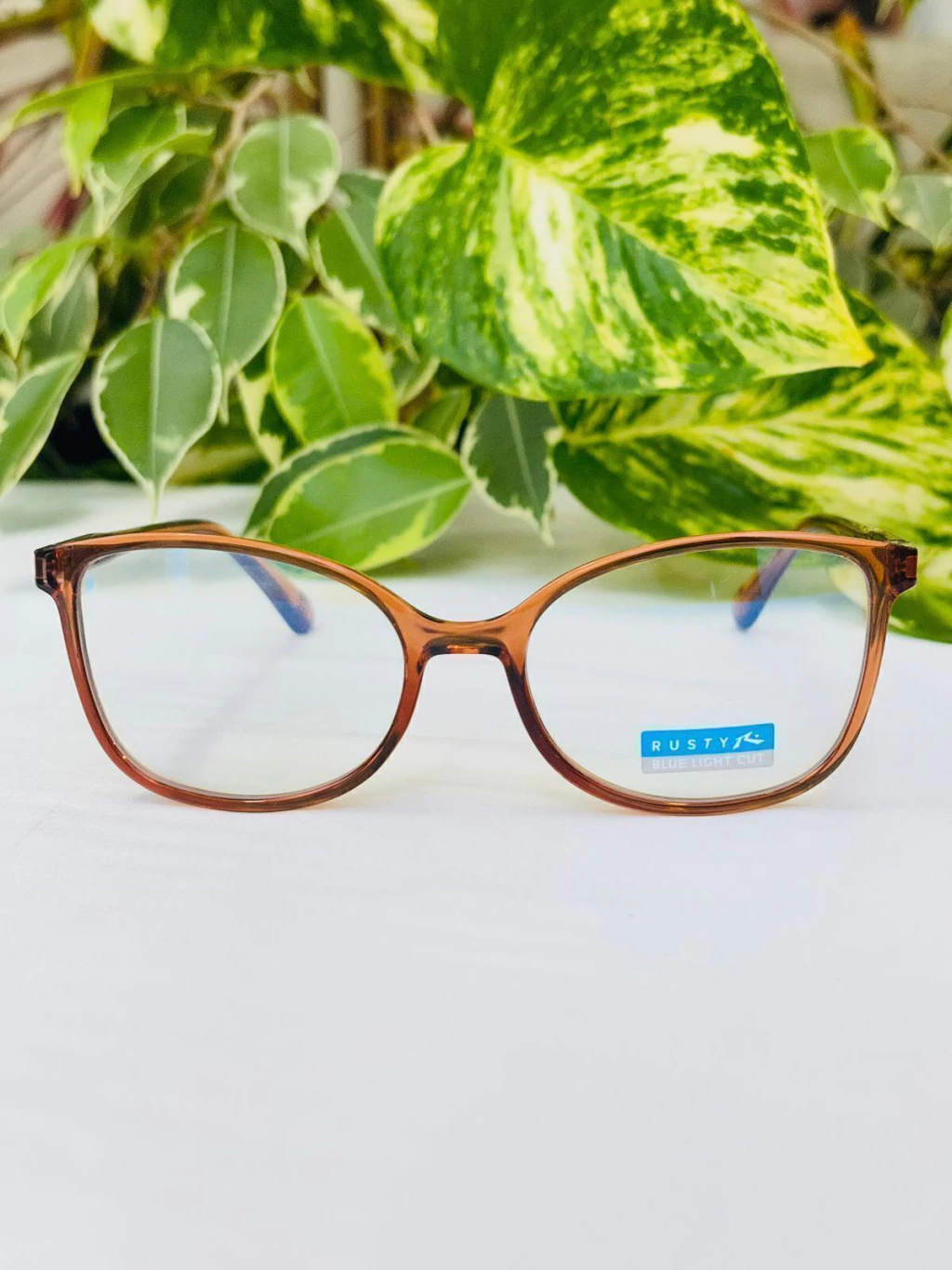 Armazón RUSTY SECKER