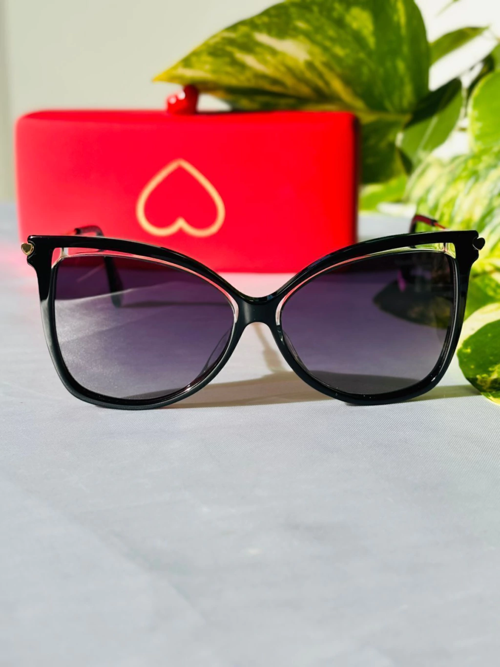 Gafas LAS OREIRO 6231